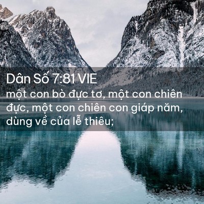Picture 02 - Dân Số 7:81 VIE - một con bò đực tơ, một con chiên - Bible Verse Picture