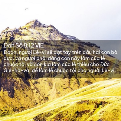 Picture 02 - Dân Số 8:12 VIE - Đoạn, người Lê-vi sẽ đặt tay trên - Bible Verse Picture