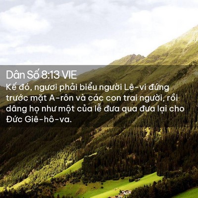 Picture 02 - Dân Số 8:13 VIE - Kế đó, ngươi phải biểu người Lê-vi - Bible Verse Picture