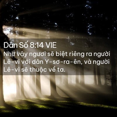 Picture 02 - Dân Số 8:14 VIE - Như vậy ngươi sẽ biệt riêng ra người - Bible Verse Picture