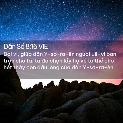 Picture 02 - Dân Số 8:16 VIE - Bởi vì, giữa dân Y-sơ-ra-ên người - Bible Verse Picture