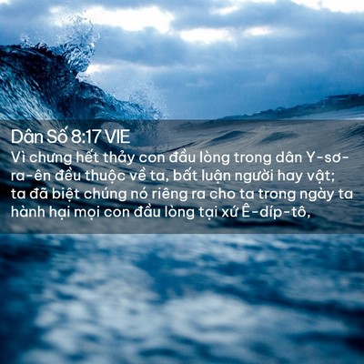 Picture 02 - Dân Số 8:17 VIE - Vì chưng hết thảy con đầu lòng trong - Bible Verse Picture