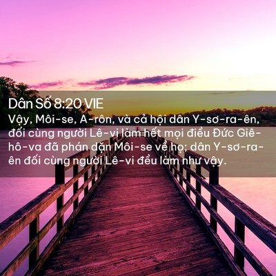 Picture 02 - Dân Số 8:20 VIE - Vậy, Môi-se, A-rôn, và cả hội dân - Bible Verse Picture