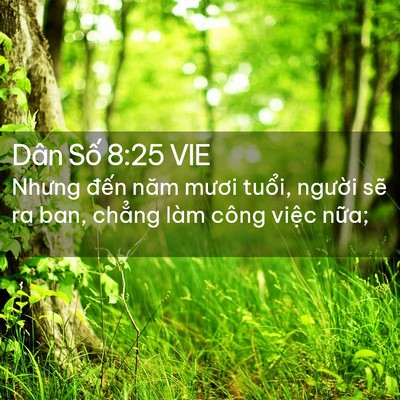 Picture 02 - Dân Số 8:25 VIE - Nhưng đến năm mươi tuổi, người sẽ - Bible Verse Picture