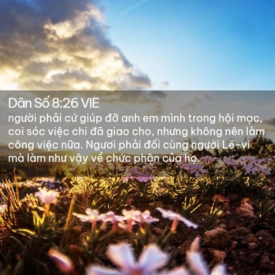 Picture 02 - Dân Số 8:26 VIE - người phải cứ giúp đỡ anh em mình - Bible Verse Picture