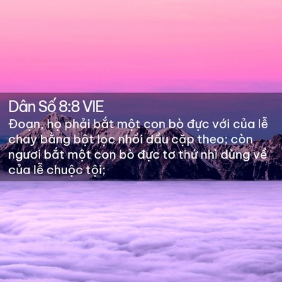 Picture 02 - Dân Số 8:8 VIE - Đoạn, họ phải bắt một con bò đực - Bible Verse Picture