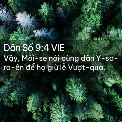 Picture 02 - Dân Số 9:4 VIE - Vậy, Môi-se nói cùng dân Y-sơ-ra-ên để - Bible Verse Picture