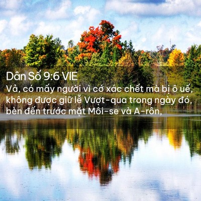 Picture 02 - Dân Số 9:6 VIE - Vả, có mấy người vì cớ xác chết mà - Bible Verse Picture