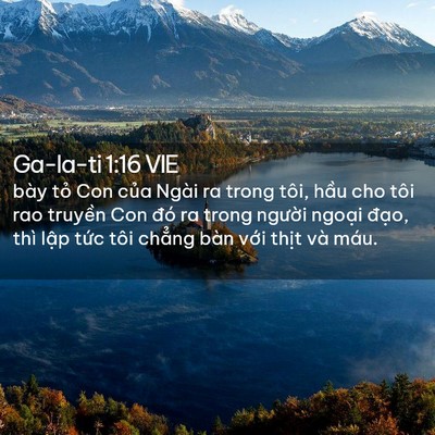Picture 02 - Ga-la-ti 1:16 VIE - bày tỏ Con của Ngài ra trong tôi, hầu - Bible Verse Picture