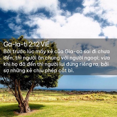 Picture 02 - Ga-la-ti 2:12 VIE - Bởi trước lúc mấy kẻ của Gia-cơ sai - Bible Verse Picture