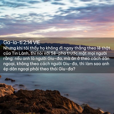 Picture 02 - Ga-la-ti 2:14 VIE - Nhưng khi tôi thấy họ không đi ngay - Bible Verse Picture
