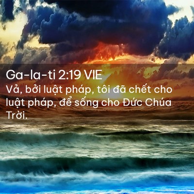 Picture 02 - Ga-la-ti 2:19 VIE - Vả, bởi luật pháp, tôi đã chết cho - Bible Verse Picture