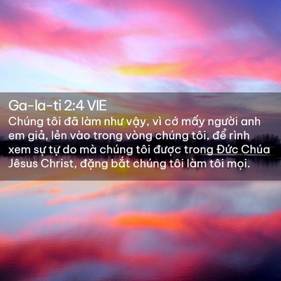 Picture 02 - Ga-la-ti 2:4 VIE - Chúng tôi đã làm như vậy, vì cớ mấy - Bible Verse Picture