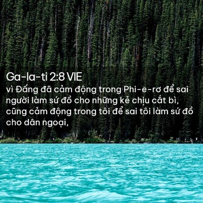 Picture 02 - Ga-la-ti 2:8 VIE - vì Đấng đã cảm động trong Phi-e-rơ - Bible Verse Picture