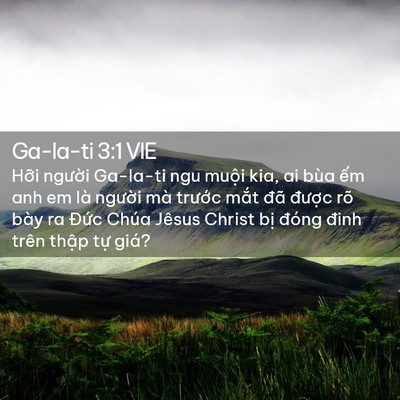 Picture 02 - Ga-la-ti 3:1 VIE - Hỡi người Ga-la-ti ngu muội kia, ai bùa - Bible Verse Picture