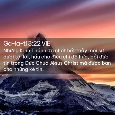 Picture 02 - Ga-la-ti 3:22 VIE - Nhưng Kinh Thánh đã nhốt hết thảy mọi - Bible Verse Picture