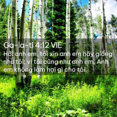 Picture 02 - Ga-la-ti 4:12 VIE - Hỡi anh em, tôi xin anh em hãy giống như - Bible Verse Picture