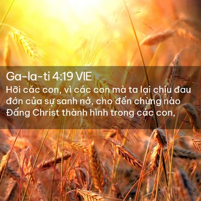 Picture 02 - Ga-la-ti 4:19 VIE - Hỡi các con, vì các con mà ta lại chịu - Bible Verse Picture