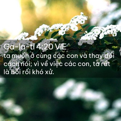 Picture 02 - Ga-la-ti 4:20 VIE - ta muốn ở cùng các con và thay đổi - Bible Verse Picture