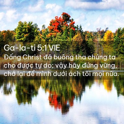 Picture 02 - Ga-la-ti 5:1 VIE - Đấng Christ đã buông tha chúng ta cho - Bible Verse Picture