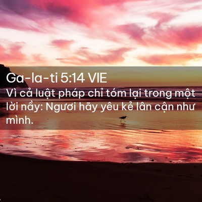 Picture 02 - Ga-la-ti 5:14 VIE - Vì cả luật pháp chỉ tóm lại trong - Bible Verse Picture
