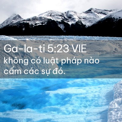 Picture 02 - Ga-la-ti 5:23 VIE - không có luật pháp nào cấm các sự - Bible Verse Picture