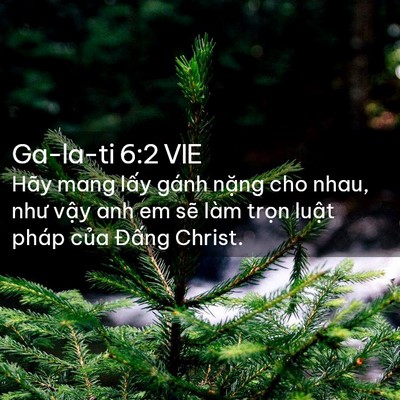 Picture 02 - Ga-la-ti 6:2 VIE - Hãy mang lấy gánh nặng cho nhau, như vậy - Bible Verse Picture