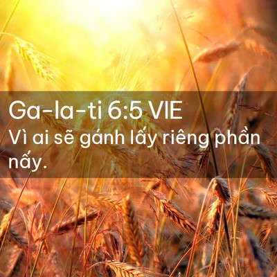 Picture 02 - Ga-la-ti 6:5 VIE - Vì ai sẽ gánh lấy riêng phần - Bible Verse Picture