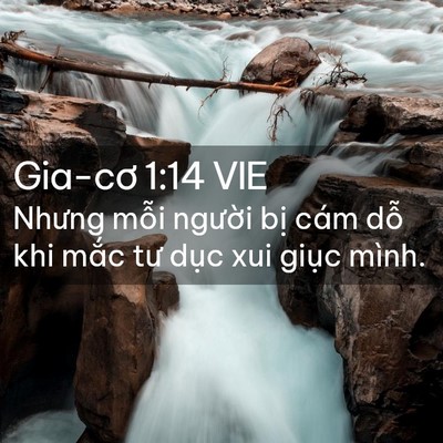 Picture 02 - Gia-cơ 1:14 VIE - Nhưng mỗi người bị cám dỗ khi mắc - Bible Verse Picture