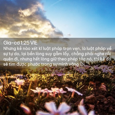 Picture 02 - Gia-cơ 1:25 VIE - Nhưng kẻ nào xét kĩ luật pháp trọn - Bible Verse Picture