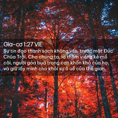 Picture 02 - Gia-cơ 1:27 VIE - Sự tin đạo thanh sạch không vết, - Bible Verse Picture