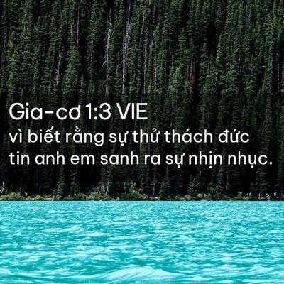 Picture 02 - Gia-cơ 1:3 VIE - vì biết rằng sự thử thách đức tin - Bible Verse Picture
