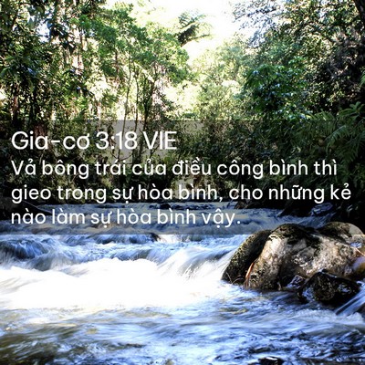 Picture 02 - Gia-cơ 3:18 VIE - Vả bông trái của điều công bình thì - Bible Verse Picture