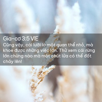 Picture 02 - Gia-cơ 3:5 VIE - Cũng vậy, cái lưỡi là một quan thể - Bible Verse Picture