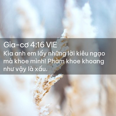 Picture 02 - Gia-cơ 4:16 VIE - Kìa anh em lấy những lời kiêu ngạo mà - Bible Verse Picture