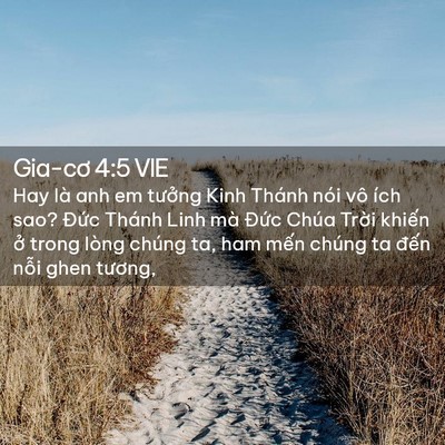 Picture 02 - Gia-cơ 4:5 VIE - Hay là anh em tưởng Kinh Thánh nói vô ích - Bible Verse Picture