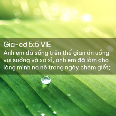 Picture 02 - Gia-cơ 5:5 VIE - Anh em đã sống trên thế gian ăn uống - Bible Verse Picture