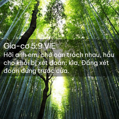 Picture 02 - Gia-cơ 5:9 VIE - Hỡi anh em, chớ oán trách nhau, hầu cho - Bible Verse Picture