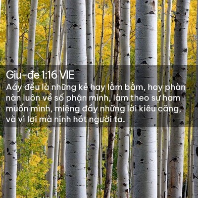 Picture 02 - Giu-đe 1:16 VIE - Aáy đều là những kẻ hay lằm bằm, hay - Bible Verse Picture