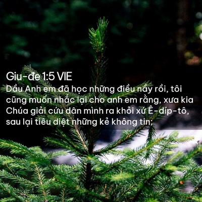 Picture 02 - Giu-đe 1:5 VIE - Dầu Anh em đã học những điều nầy - Bible Verse Picture