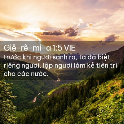 Picture 02 - Giê-rê-mi-a 1:5 VIE - trước khi ngươi sanh ra, ta đã biệt - Bible Verse Picture