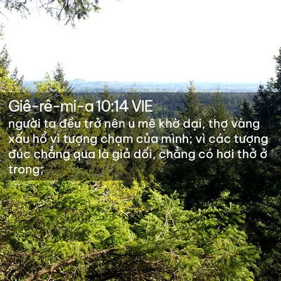 Picture 02 - Giê-rê-mi-a 10:14 VIE - người ta đều trở nên u mê khờ dại, - Bible Verse Picture