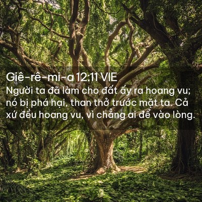 Picture 02 - Giê-rê-mi-a 12:11 VIE - Người ta đã làm cho đất ấy ra hoang - Bible Verse Picture