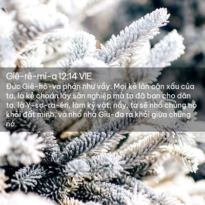 Picture 02 - Giê-rê-mi-a 12:14 VIE - Đức Giê-hô-va phán như vầy: Mọi kẻ - Bible Verse Picture