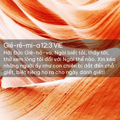 Picture 02 - Giê-rê-mi-a 12:3 VIE - Hỡi Đức Giê-hô-va, Ngài biết tôi, - Bible Verse Picture