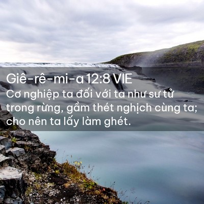 Picture 02 - Giê-rê-mi-a 12:8 VIE - Cơ nghiệp ta đối với ta như sư tử - Bible Verse Picture