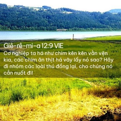 Picture 02 - Giê-rê-mi-a 12:9 VIE - Cơ nghiệp ta há như chim kên kên vằn - Bible Verse Picture