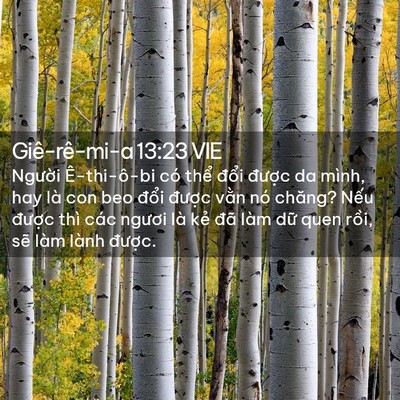 Picture 02 - Giê-rê-mi-a 13:23 VIE - Người Ê-thi-ô-bi có thể đổi được - Bible Verse Picture