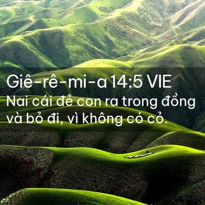 Picture 02 - Giê-rê-mi-a 14:5 VIE - Nai cái đẻ con ra trong đồng và bỏ đi, - Bible Verse Picture