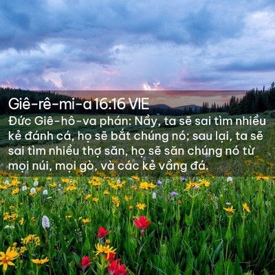 Picture 02 - Giê-rê-mi-a 16:16 VIE - Đức Giê-hô-va phán: Nầy, ta sẽ sai tìm - Bible Verse Picture